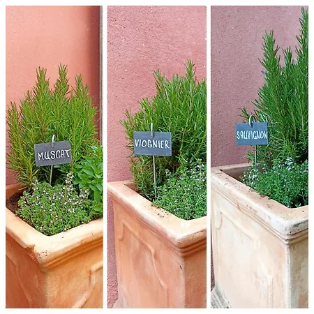 Διαμέρισμα Vinauberge Poilhes